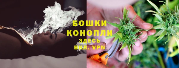 спайс Аркадак