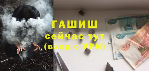 стафф Арсеньев