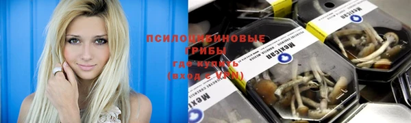гидра Армянск