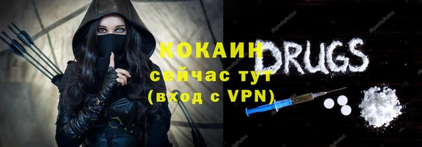 стафф Арсеньев