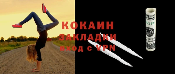 стафф Арсеньев