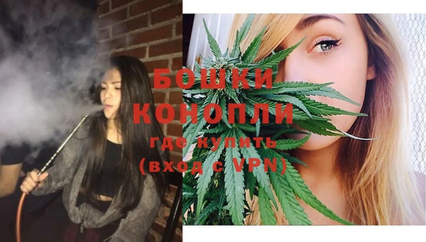 спайс Аркадак