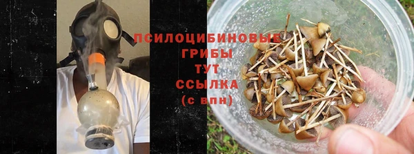 спайс Аркадак